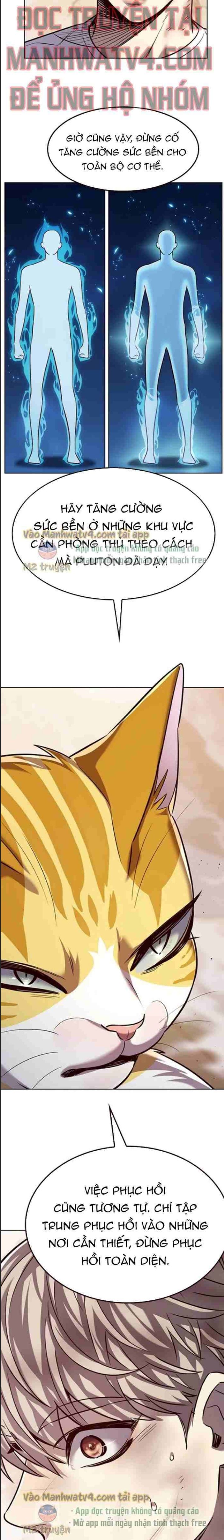 Hoá Thân Thành Mèo: Chapter 328