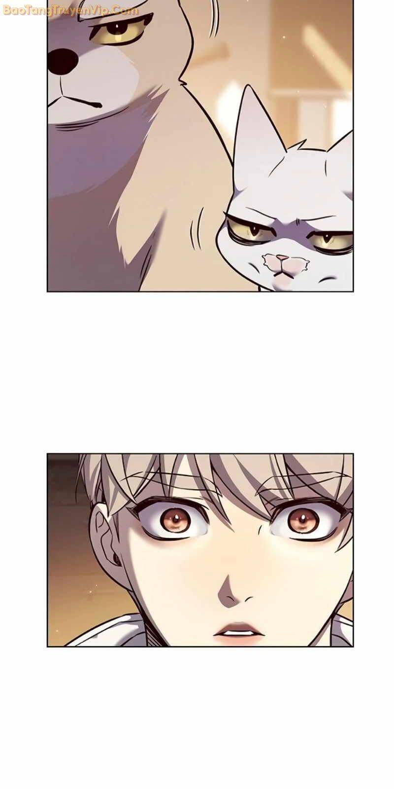 Hoá Thân Thành Mèo: Chapter 329