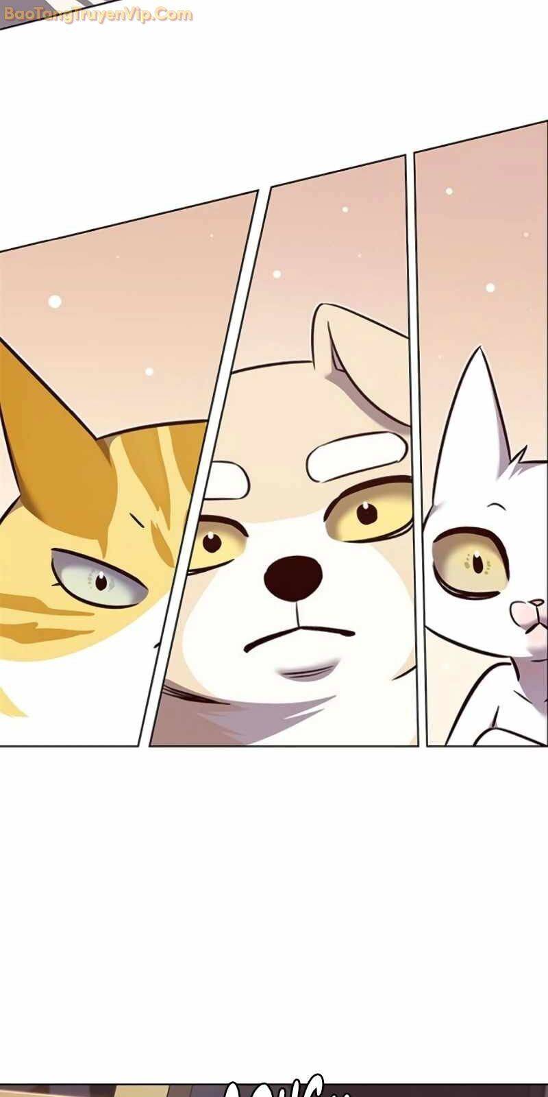 Hoá Thân Thành Mèo: Chapter 329