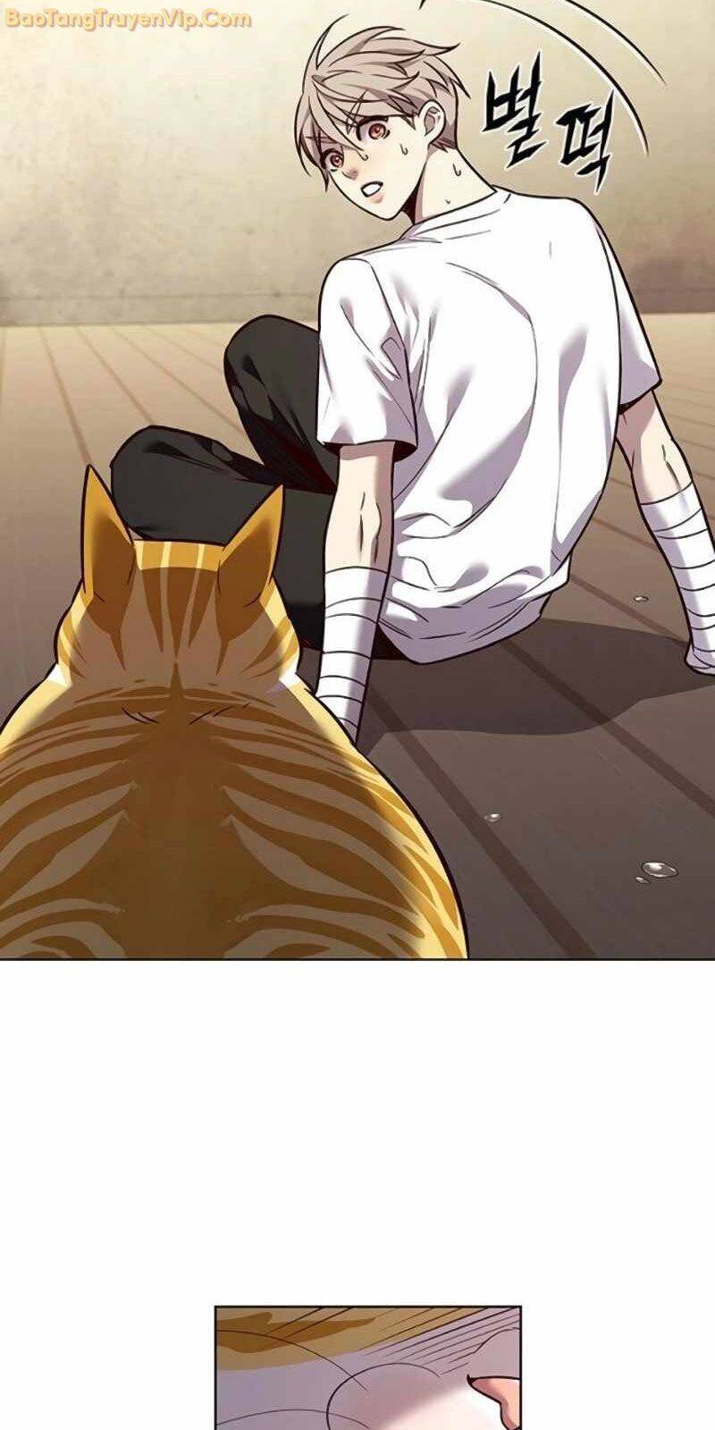 Hoá Thân Thành Mèo: Chapter 329