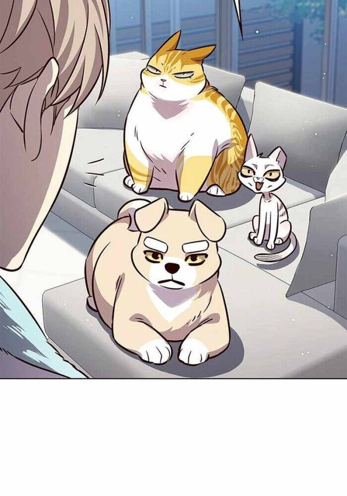 Hoá Thân Thành Mèo: Chapter 330