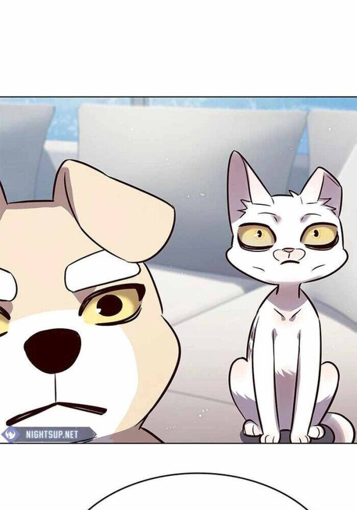 Hoá Thân Thành Mèo: Chapter 330