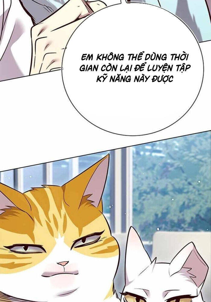Hoá Thân Thành Mèo: Chapter 330