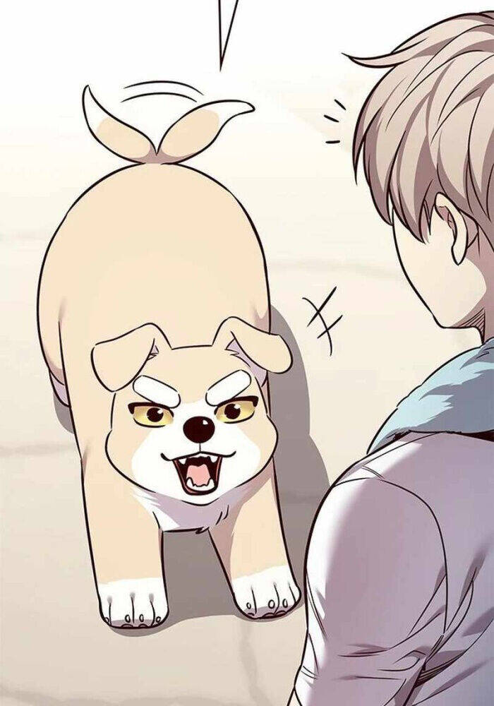 Hoá Thân Thành Mèo: Chapter 330