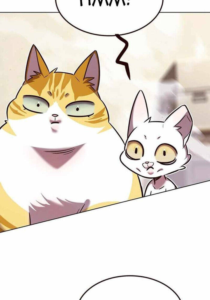 Hoá Thân Thành Mèo: Chapter 330