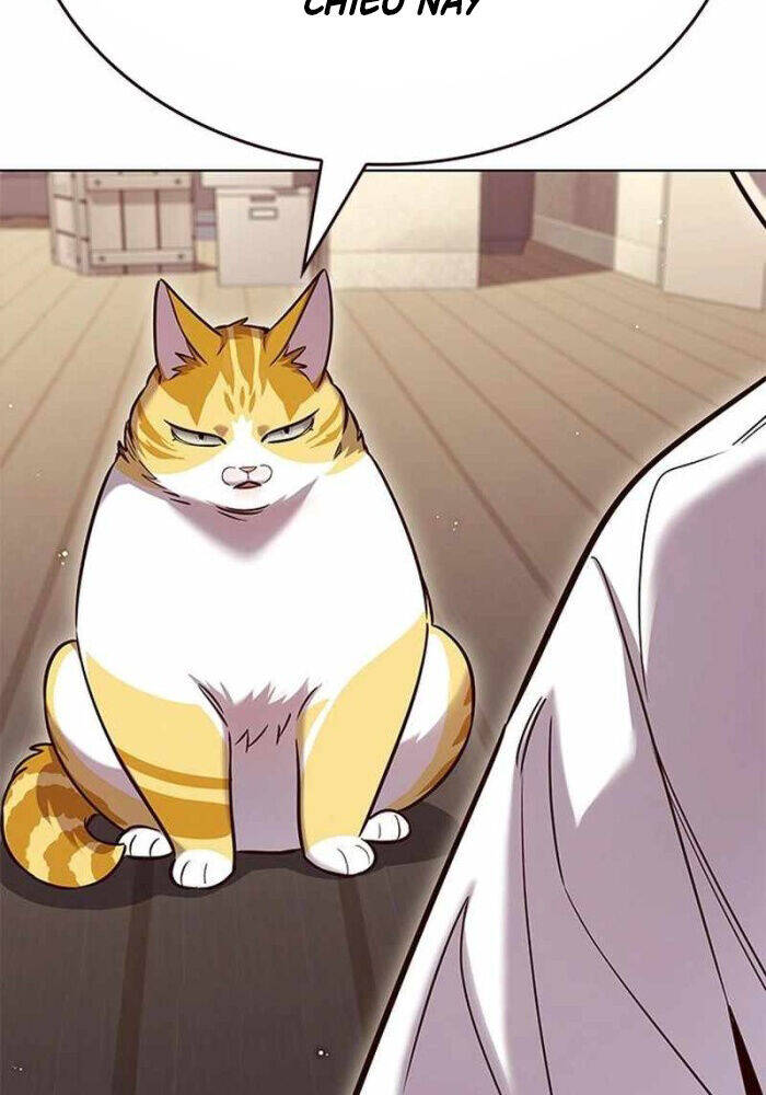 Hoá Thân Thành Mèo: Chapter 330