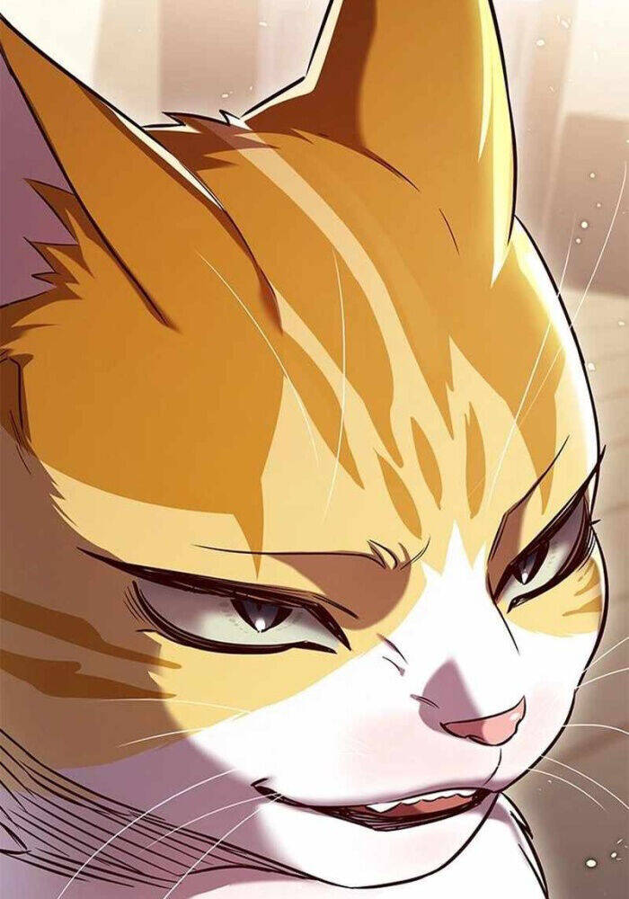 Hoá Thân Thành Mèo: Chapter 330