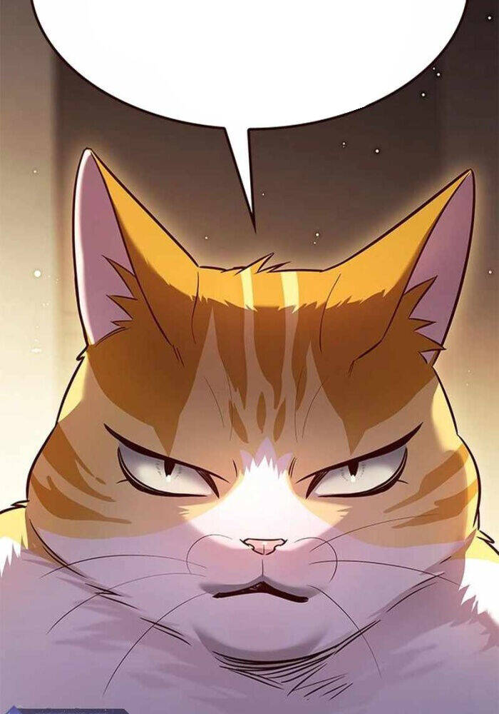 Hoá Thân Thành Mèo: Chapter 330