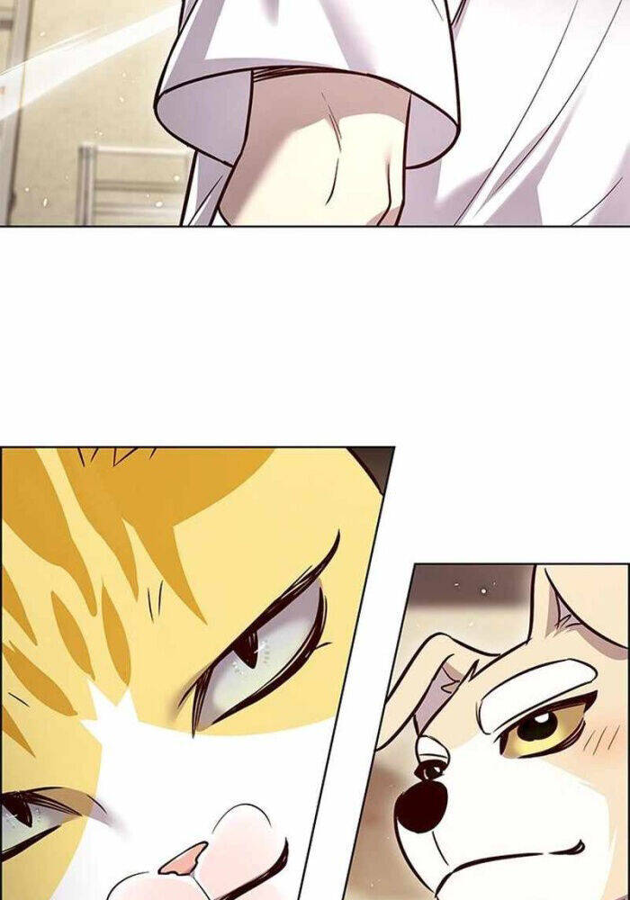 Hoá Thân Thành Mèo: Chapter 330