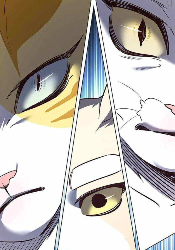 Hoá Thân Thành Mèo: Chapter 330