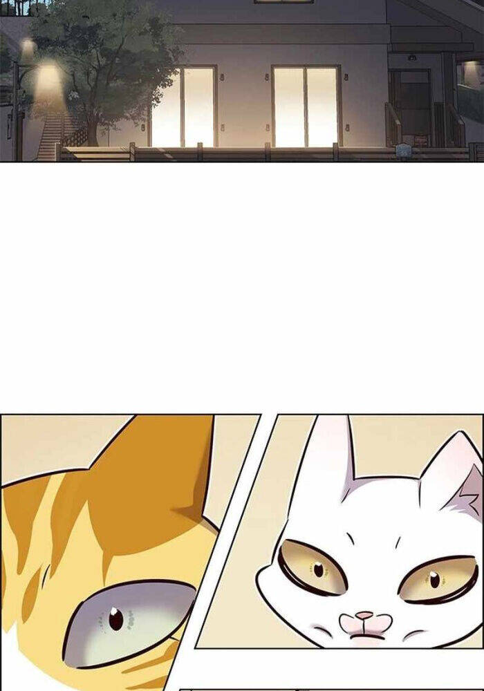 Hoá Thân Thành Mèo: Chapter 330