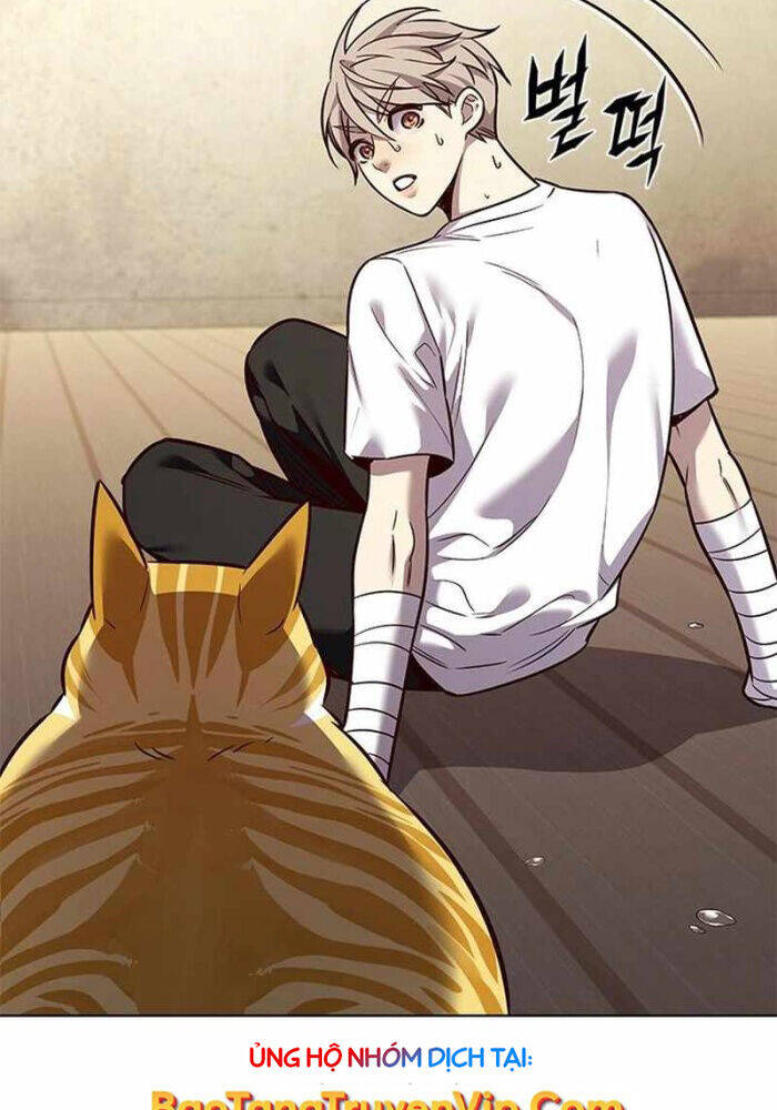 Hoá Thân Thành Mèo: Chapter 330