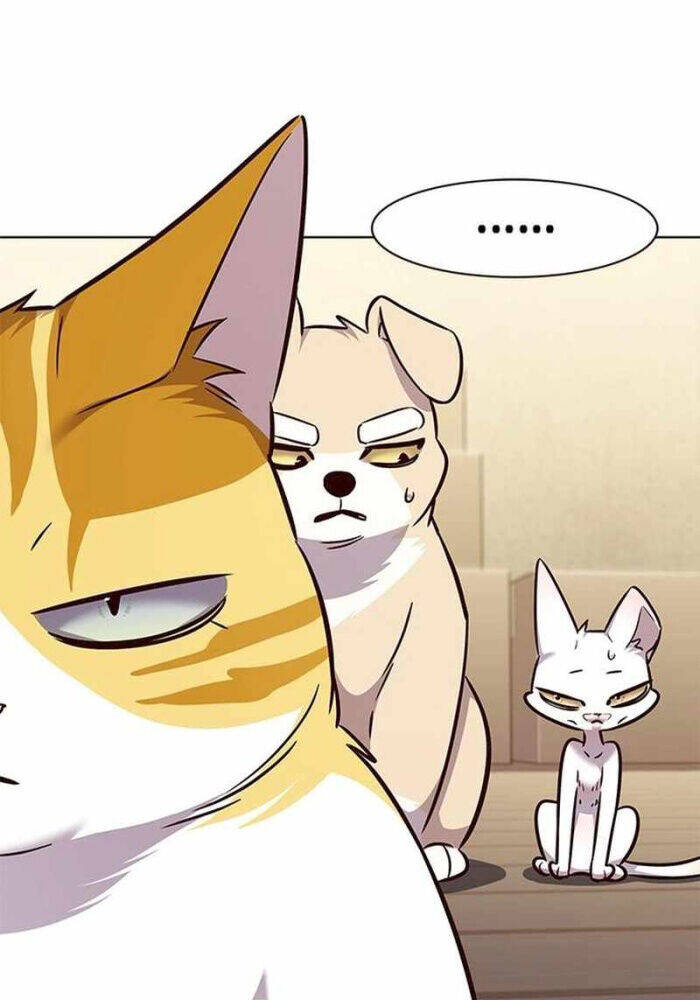 Hoá Thân Thành Mèo: Chapter 330