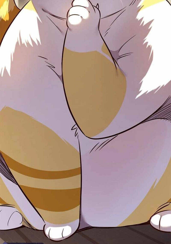 Hoá Thân Thành Mèo: Chapter 330