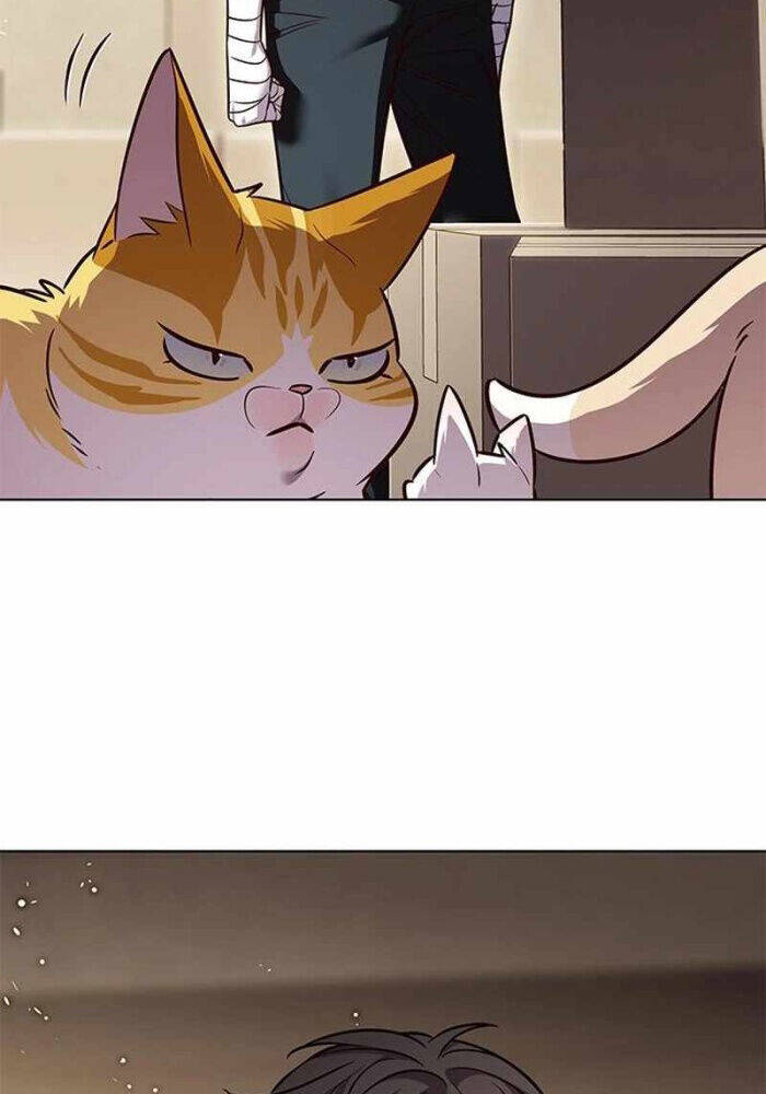 Hoá Thân Thành Mèo: Chapter 330