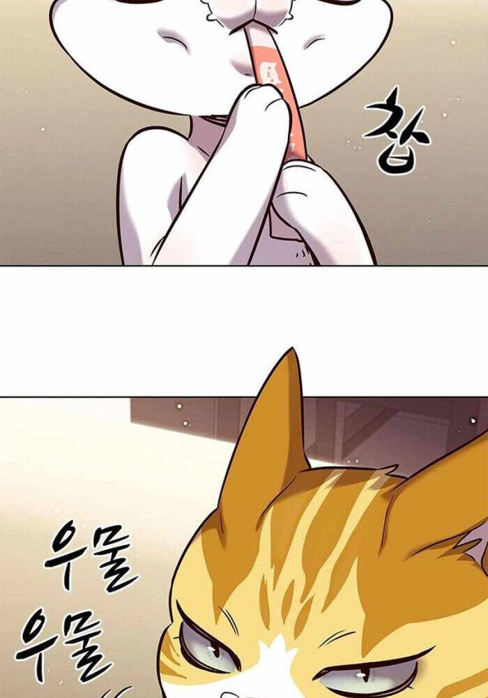 Hoá Thân Thành Mèo: Chapter 330