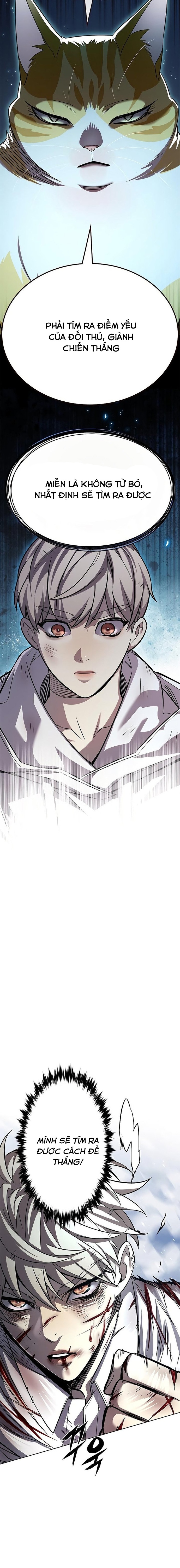 Hoá Thân Thành Mèo: Chapter 334