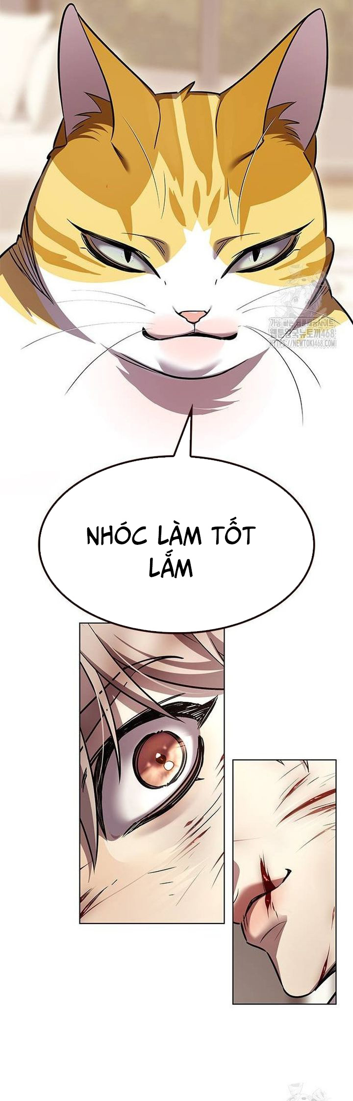 Hoá Thân Thành Mèo: Chapter 336