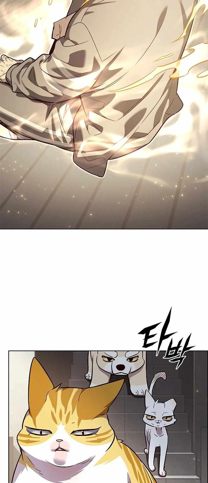 Hoá Thân Thành Mèo: Chapter 337