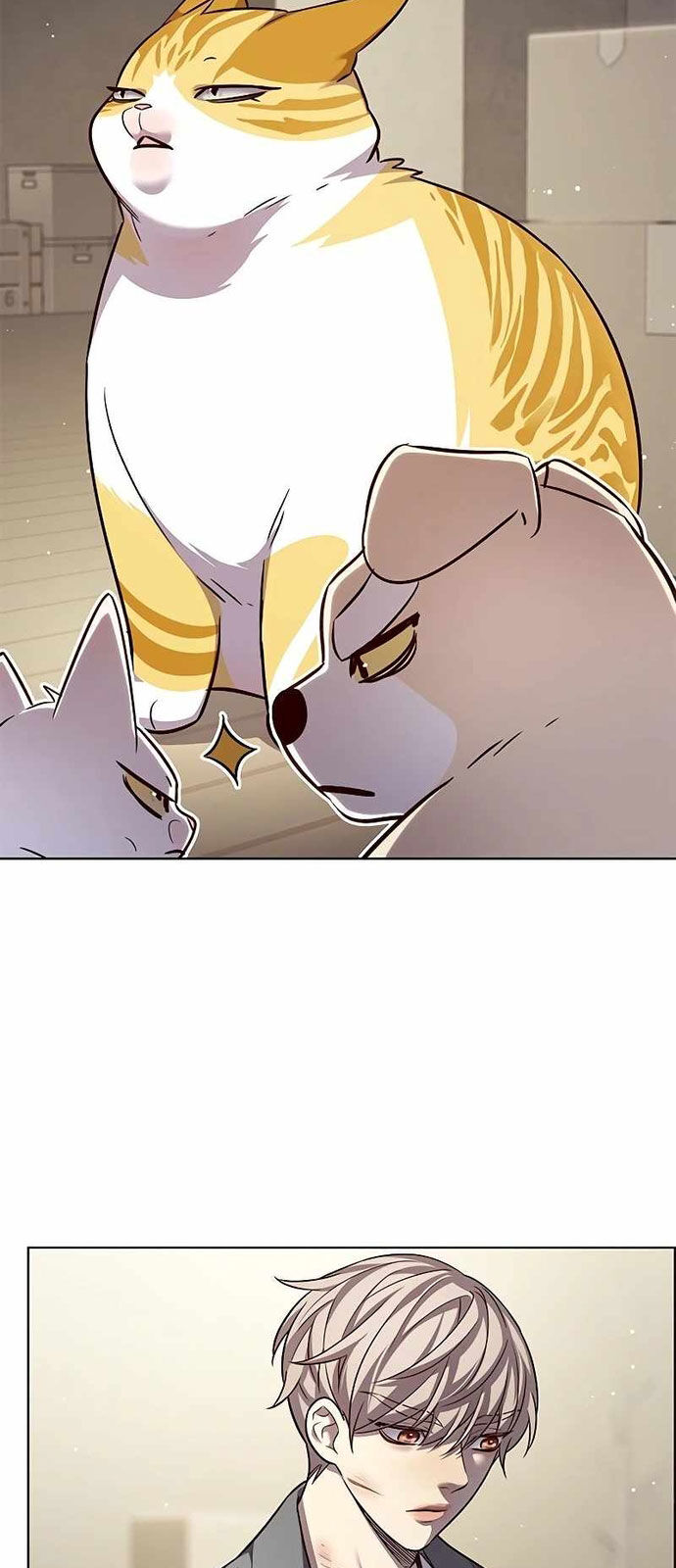 Hoá Thân Thành Mèo: Chapter 337