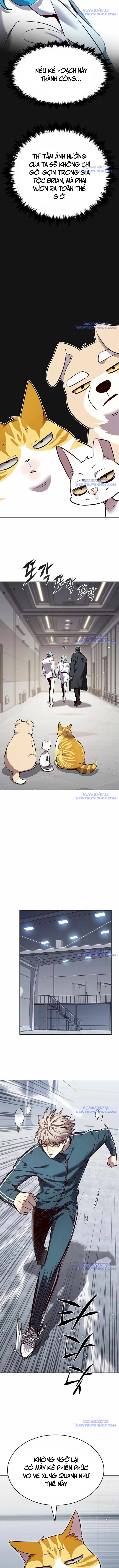 Hoá Thân Thành Mèo: Chapter 343