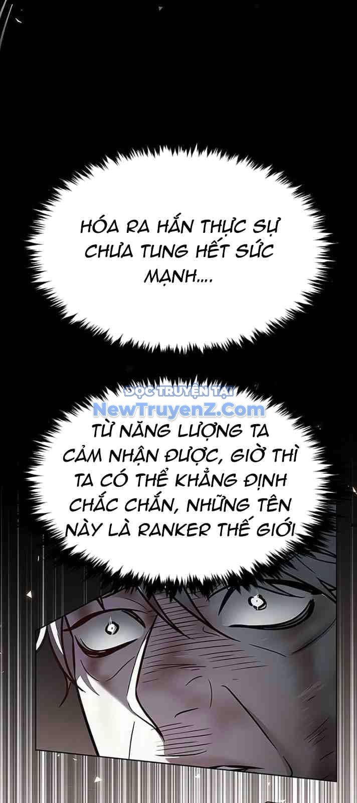 Hoá Thân Thành Mèo: Chapter 351