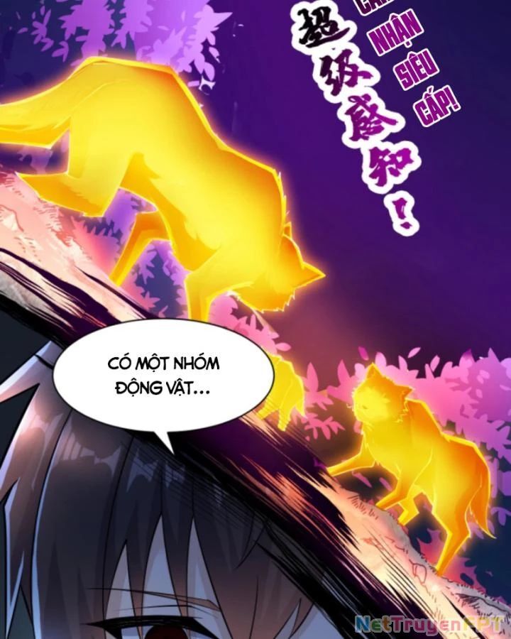 Học Cùng Em Gái, Không Cẩn Thận Trở Thành Vô Địch: Chapter 26