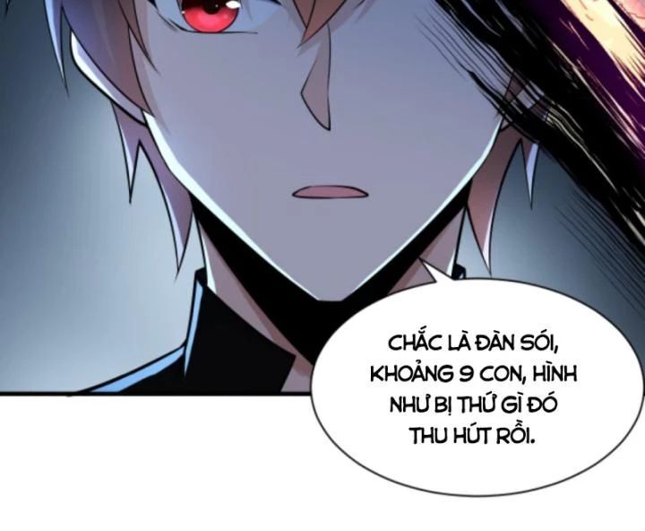 Học Cùng Em Gái, Không Cẩn Thận Trở Thành Vô Địch: Chapter 26
