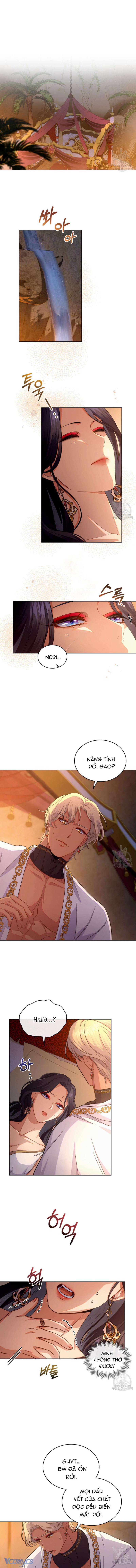 Hôn Nhân Giả Dối: Chapter 46