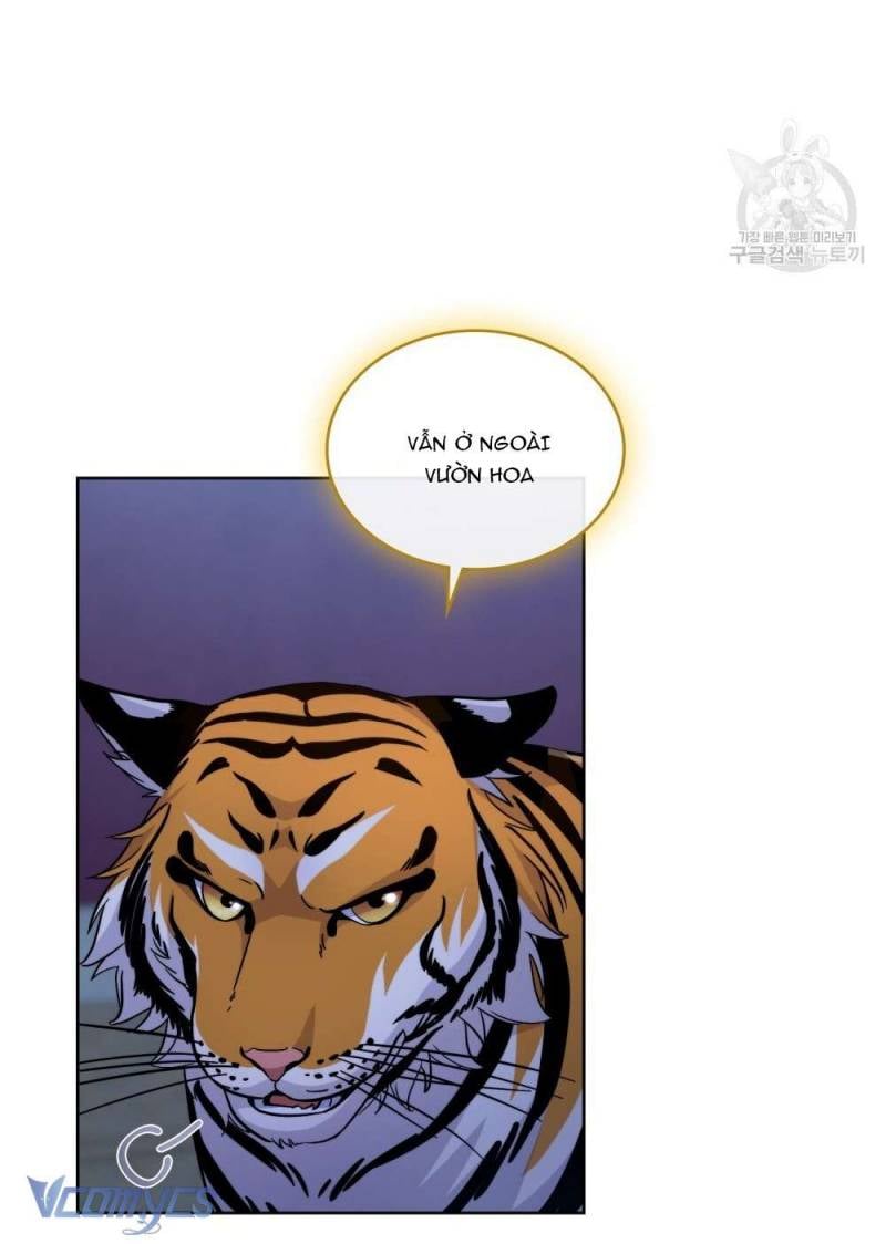Hôn Nhân Giả Dối: Chapter 67