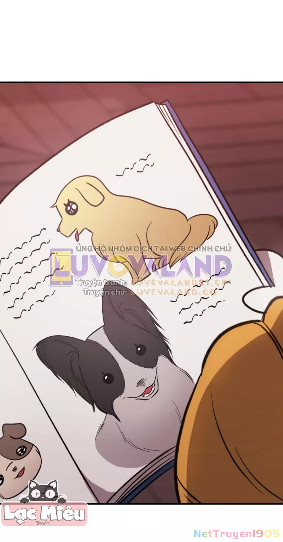 Hôn Nhân Này Rồi Sẽ Đổ Vỡ: Chapter 85.5