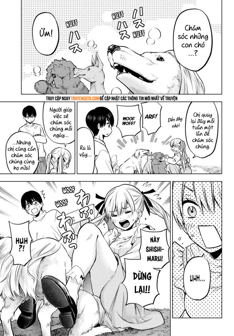 Hôn Thê Cúc Cu: Chapter 228