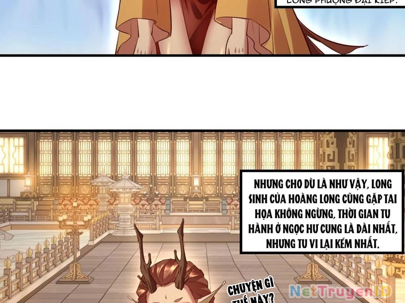 Hồng Hoang: Bắt Đầu Từ Việc Nhận Minh Hà Làm Con Gái Nuôi: Chapter 38