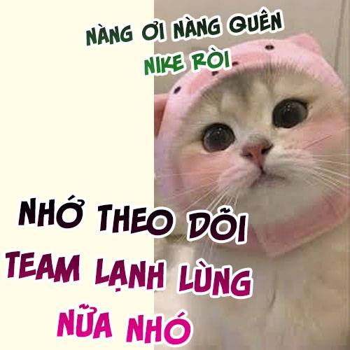 Hợp Đồng Sa Ngã: Chapter 1