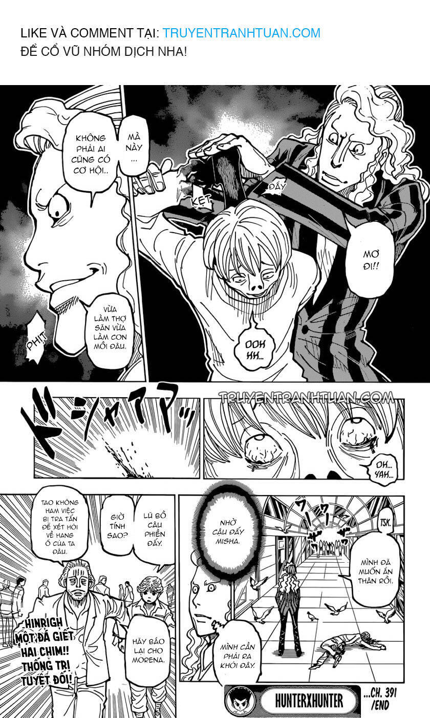 Hunter X Hunter: Chapter 391