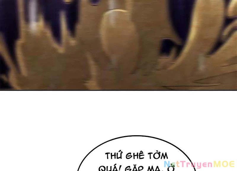 Huyễn Thú Của Ta Có Thể Tiến Hoá Vô Hạn: Chapter 20