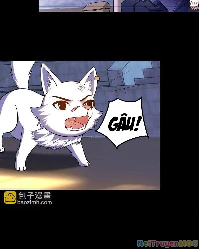 Huyễn Thú Của Ta Có Thể Tiến Hoá Vô Hạn: Chapter 22