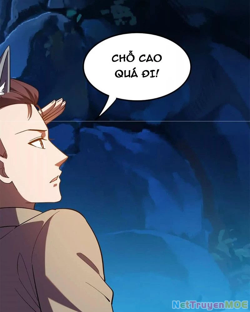 Huyễn Thú Của Ta Có Thể Tiến Hoá Vô Hạn: Chapter 24