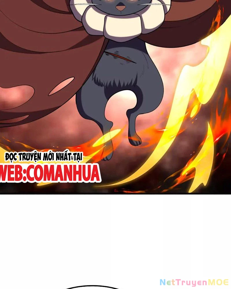Huyễn Thú Của Ta Có Thể Tiến Hoá Vô Hạn: Chapter 25