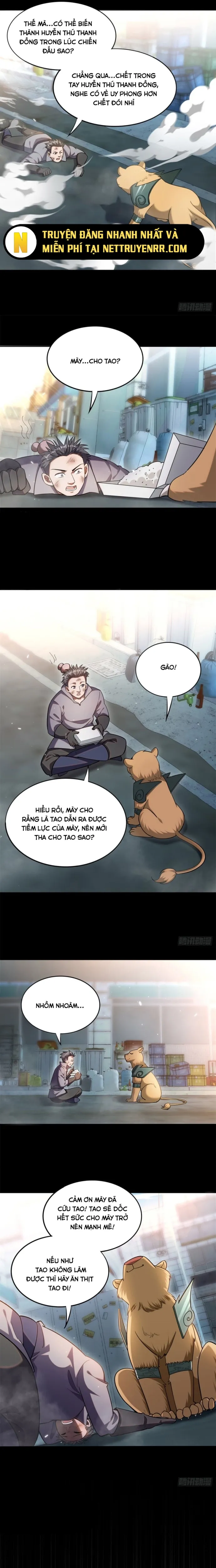 Huyễn Thú Của Ta Có Thể Tiến Hoá Vô Hạn: Chapter 3