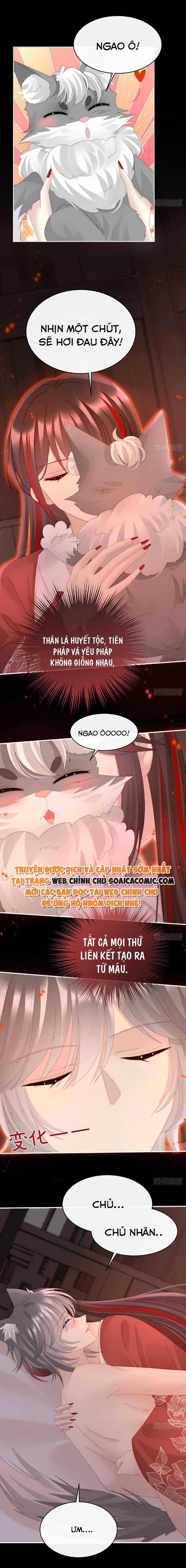 Huyết Tộc Hồi Sinh: Thê Chủ, Thỉnh Hưởng Dụng: Chapter 47