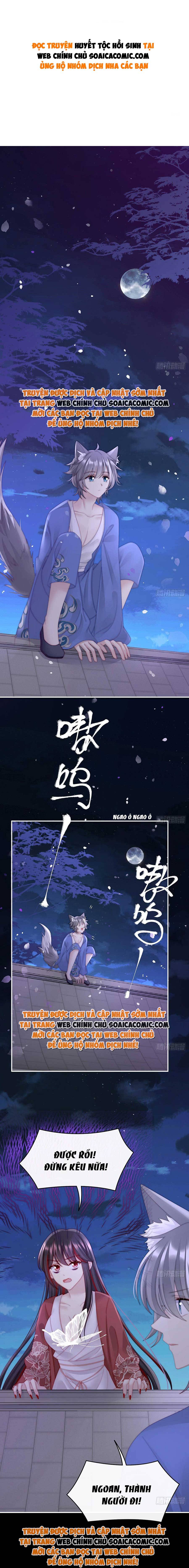 Huyết Tộc Hồi Sinh: Thê Chủ, Thỉnh Hưởng Dụng: Chapter 50