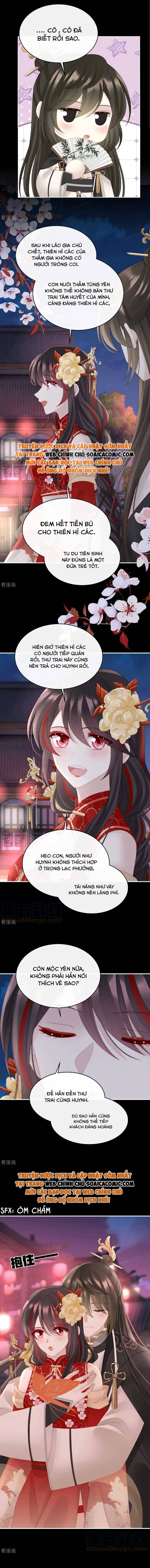 Huyết Tộc Hồi Sinh: Thê Chủ, Thỉnh Hưởng Dụng: Chapter 71