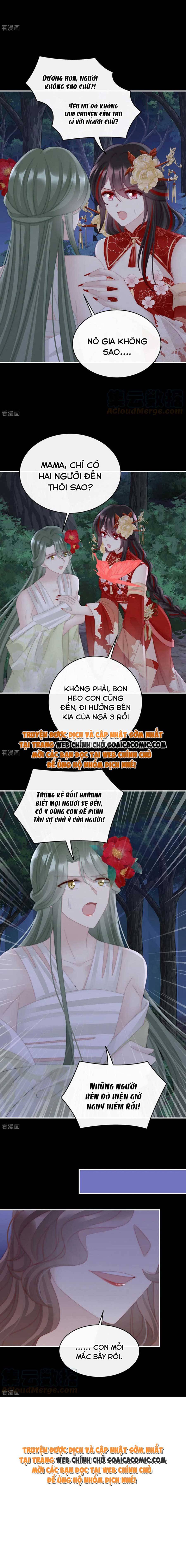 Huyết Tộc Hồi Sinh: Thê Chủ, Thỉnh Hưởng Dụng: Chapter 77