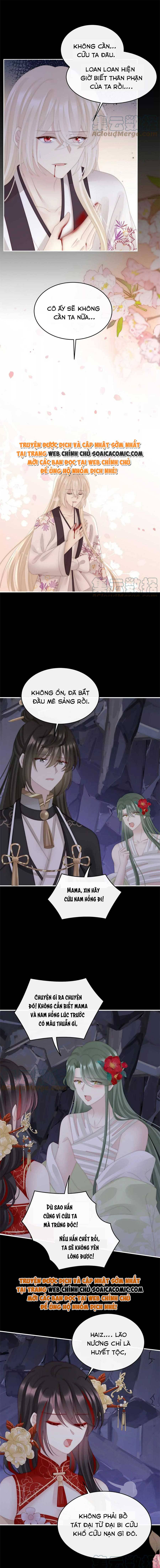 Huyết Tộc Hồi Sinh: Thê Chủ, Thỉnh Hưởng Dụng: Chapter 81