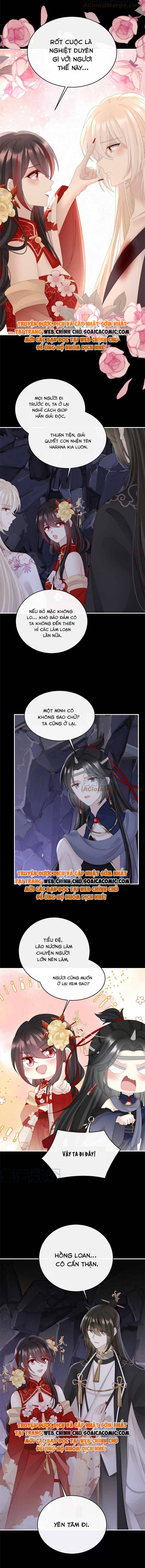Huyết Tộc Hồi Sinh: Thê Chủ, Thỉnh Hưởng Dụng: Chapter 81