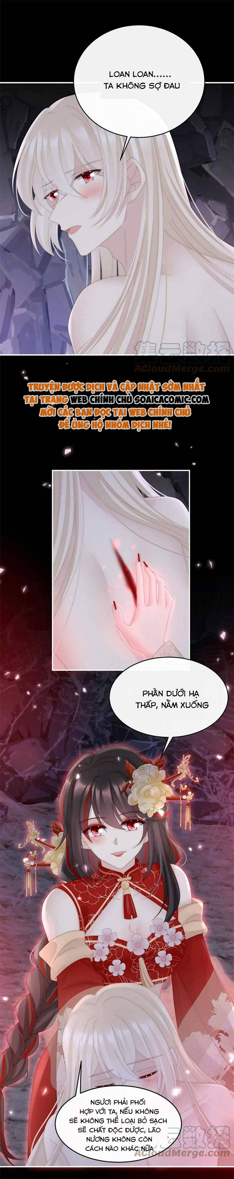 Huyết Tộc Hồi Sinh: Thê Chủ, Thỉnh Hưởng Dụng: Chapter 82