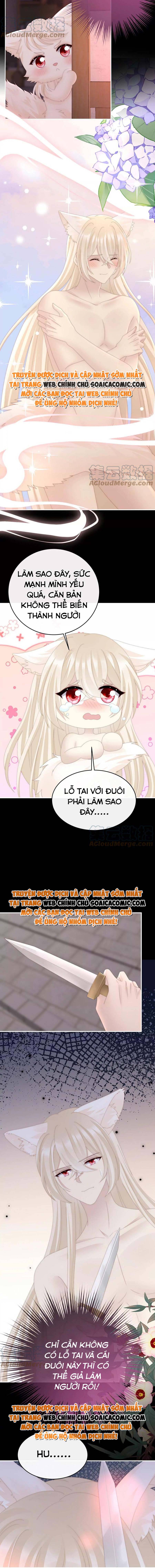 Huyết Tộc Hồi Sinh: Thê Chủ, Thỉnh Hưởng Dụng: Chapter 83