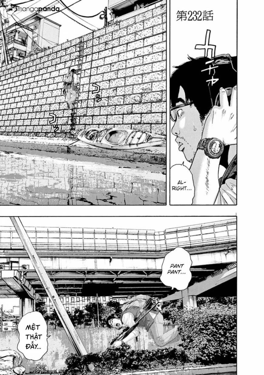 I Am A Hero: Chapter 232