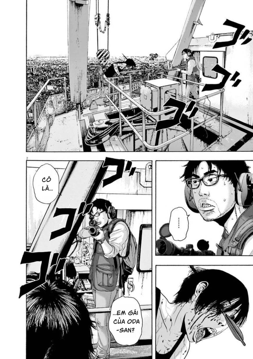 I Am A Hero: Chapter 244